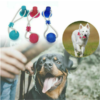 Multifunctional Dog Molar Bite Toy | Petra Shops