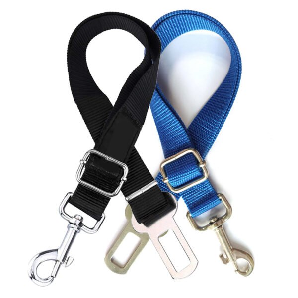 Compact Dog Safety Gear | Petra Shops