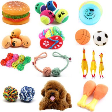 Vinyl Pet Dog Toy Ball | Petra Shops