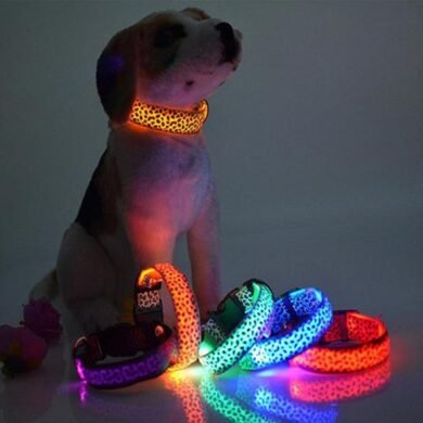 LED Dog Collar Safety | Petra Shops